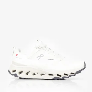 ON Cloudhorizon Waterproof Shoes